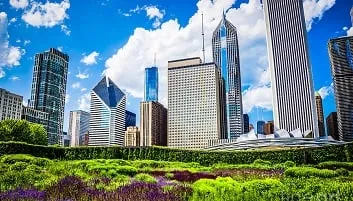 chicago flowers