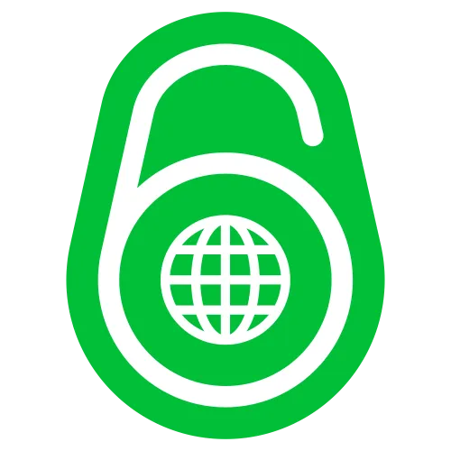 ip address ipv6