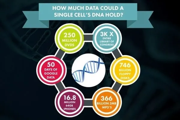 how much data can dna hold