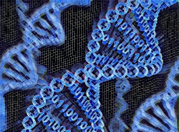 storing data in dna