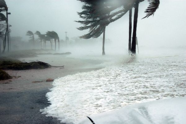disaster recovery services