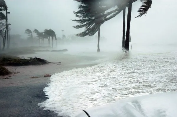 disaster recovery services