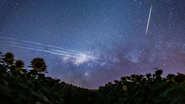 elon musk starlink
