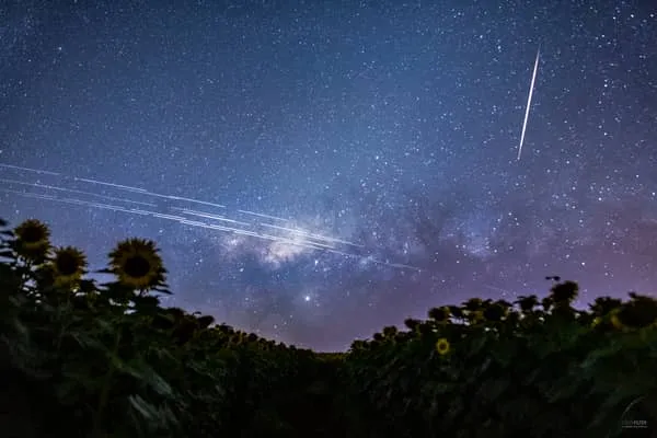 starlight light pollution