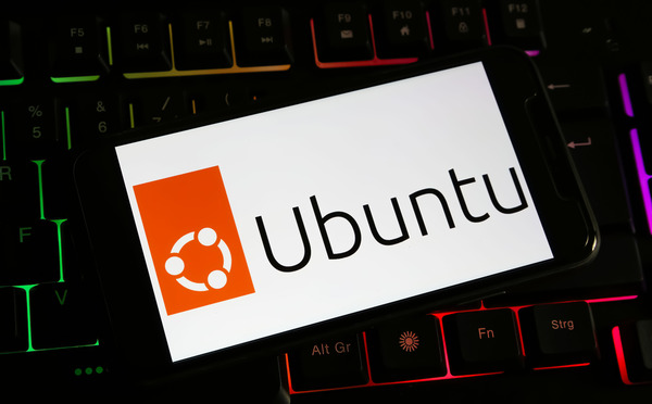 best OS for small business